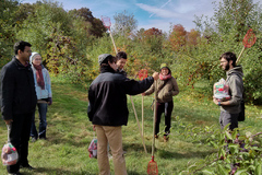 Apple picking picture 1